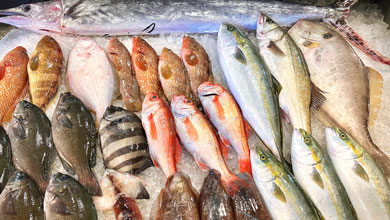 買う ひみ番屋街